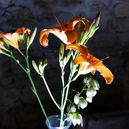 Fiordaliso Apartment Como