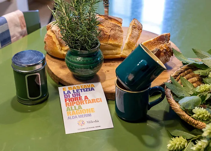 Fiordaliso 아파트