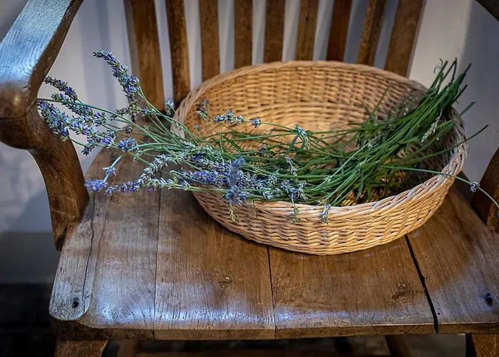 아파트 Fiordaliso